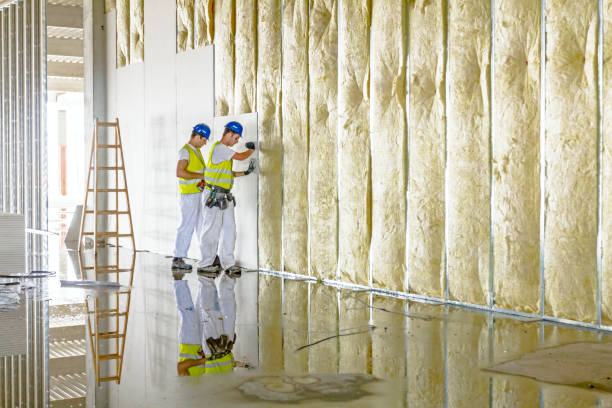 Best Insulation Repair Services  in Ocean Bluff Brant Rock, MA